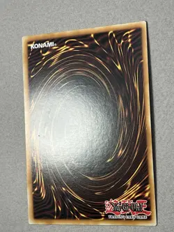 Dragged Down into the Grave LCYW-EN174 1st Edition MP - Image 3