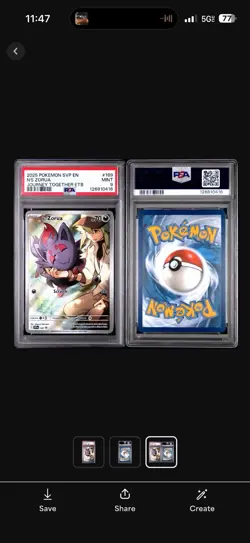 2025 Pokemon SVP EN N's Zorua #189 Journey Together ETB - PSA 9 MINT - Image 3