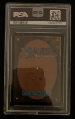 Tidus, Yuna's Guardian Borderless Foil PSA 10 Graded Final Fantasy MTG - Image 2