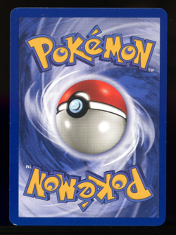 Kangaskhan 5/64 Jungle Set Holo Rare Unlimited | Vintage 1999 WOTC Pokemon TCG - Image 3