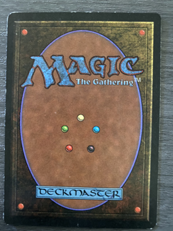 MTG The Dark Apprentice Wizard x 1 - Image 2