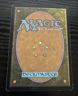 Sungrass Prairie - Odyssey MTG magic the gathering - Image 2