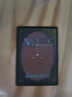 Mtg Time Warp Tempest Regular - Image 2