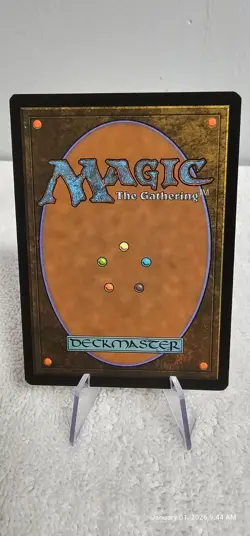 MTG Ancient Silver Dragon - Showcase - NM - CL : BFBG - Image 2