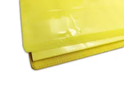 Pokemon Official Jolteon 480 Slots Card Binder Eevee Advanced Theme Exclusive US - Image 3