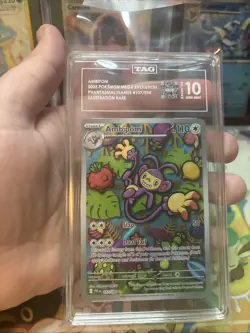 Pokemon Ambipom Phantasmal Flames 107/094 Illustration Rare TAG 10 Gem Mint - Image 4