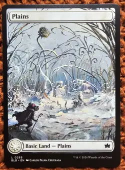 ✨Plains✨ MTG | Bloomburrow | Full Art | NM/M | L 0265 - Image 1