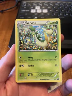 Servine - 1/12 - Pokemon McDonald's Promos Holo 2012 - Image 1