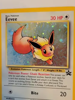Pokemon - Eevee Black Star Promo 11 Holo - Rare - 1999-2000 WoTC - Never Played - Image 2