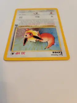 Pokemon - Eevee Black Star Promo 11 Holo - Rare - 1999-2000 WoTC - Never Played - Image 4