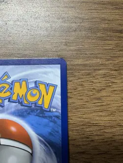 Pokemon Magikarp 203/193 PALDEA EVOLVED Illustration Rare Full Art Holo Card - Image 3