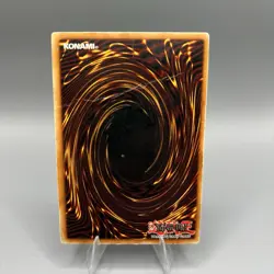 Yu-Gi-Oh Dark Paladin DMG-001 Secret Rare Limited Edition Holo Card (See Pics) - Image 2