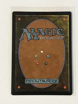 MTG Sword of Hearth and Home BORDERLESS FOIL 0136 TMC - Image 2