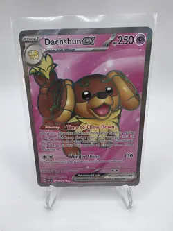 Dachsbun ex 160/142 Stellar Crown Special Illustration Rare Pokemon Card NM - Image 1