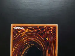 Yugioh - Black Rose Dragon CT05-EN003 Secret Rare Promo - Image 4