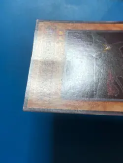 YUGIOH Super Rare Neo-Spacian Dark Panther POTD-EN005 PLAYED - Image 3