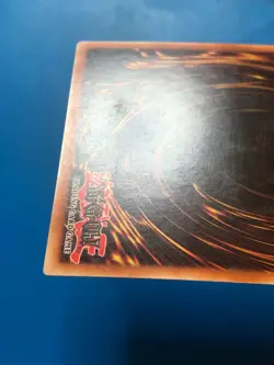 YUGIOH Super Rare Neo-Spacian Dark Panther POTD-EN005 PLAYED - Image 5