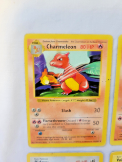 Pokemon 1999 Shadowless Base Set 6 Lot Charmander Charmeleon Rattata Pidgey (MP) - Image 2