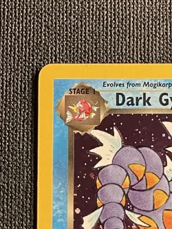 Pokemon Dark Gyarados (8/87) Team Rocket NM HOLO- Prerelease - Image 2