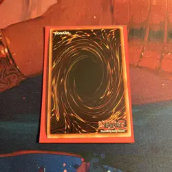 MIST WURM SECRET RARE L26D-ENX29 NEAR MINT YUGIOH - Image 5