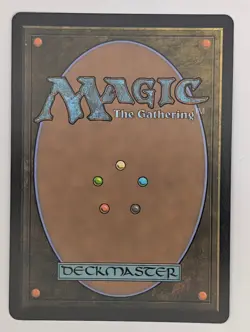 (Foil) Plains (0262) (Borderless) (262) Edge of Eternities Mtg NM - Image 2