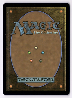 Seedborn Muse NM* Commander: Murders Karlov Manor ENGLISH 0186 mtg -UnltdCards - Image 2