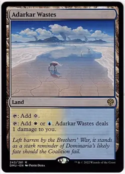 MTG Dominaria United Adarkar Wastes (Rare) - Image 1