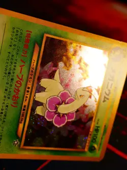 MP JAPANESE Pokemon MEGANIUM Card PREMIUM FILE 1 Set #154 Neo Genesis HOLO#9 - Image 5