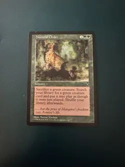 MtG Natural Order: Visions NM/LP ACTUAL PHOTOS! - Image 1