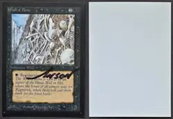 SIGNED MtG Magic Anson Maddocks _ Beta CE _ Artist Proof _ WALL OF BONE _ 1/50! - Image 1