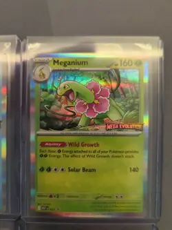 Pokemon TCG Mega Evolution Pre-Release Promo Set MEP 001 002 003 004 - Image 3