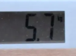 Pokemon Trading Collection Cards LOT 5KG+ - Bulk Bundle Lucky Dip - Image 2