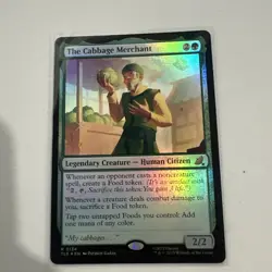 The Cabbage Merchant - Avatar: The Last Airbender: Eternal-Legal - Image 1