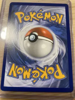 Pokemon Mega Zygarde EX 120/088 Perfect Order near mint fresh to sleeve - Image 3