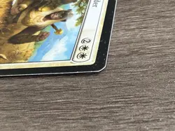 1x Leonin Warleader Core Set 2019 Regular MTG LP English - Image 3