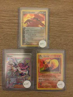 pokemon card lot collection - Team Magma’s Groudon, Flareon, Miriam - Image 1