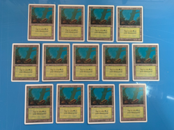 Unlimited FOREST artwork A basic land x13 mtg played see pics I Combine Ship - Image 1