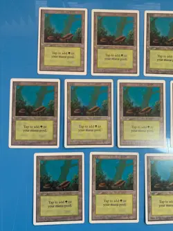 Unlimited FOREST artwork A basic land x13 mtg played see pics I Combine Ship - Image 2
