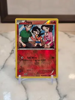 Pokemon TCG Tepig 25/113 Legendary Treasures Reverse Holofoil MP - Image 1