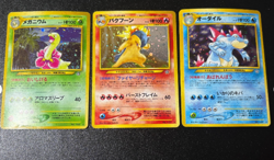 (MP) Typhlosion Meganium Feraligatr Holo Premium File Japanese Pokemon Card - Image 2
