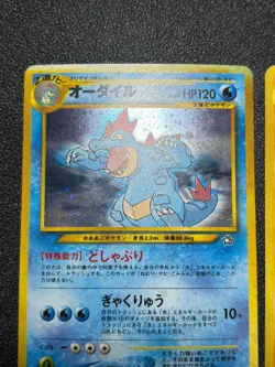 (MP) Typhlosion Meganium Feraligatr Holo Premium File Japanese Pokemon Card - Image 4
