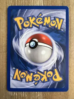 Pokemon TCG Torchic EX Ruby and Sapphire 74/109 Regular Common LP - Image 2