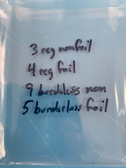 Modern Horizons 3 Snow-Covered WASTES x20 reg/full art foil/nonfoil I Cmbin Ship - Image 2