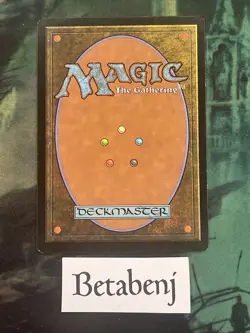 MTG Joiner Adept Fifth Dawn - Image 2