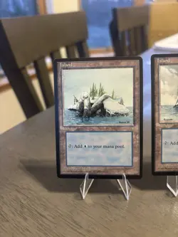 Mtg 14 Ice Age Lands 14 Different Art Versions Bonus snow covered with purchase - Image 2