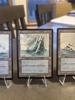 Mtg 14 Ice Age Lands 14 Different Art Versions Bonus snow covered with purchase - Image 3