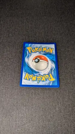 POKEMON Weedle XY Evolutions 5/108 Reverse Holo NM - Image 2