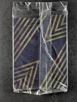 2024 Pokemon MAGNETON #159 Black Star Promos Scarlet & Violet Surging Sparks ENG - Image 2