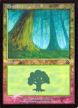 MTG - Mercadian Masques - Forest #347 - Foil - Various Conditions - Image 1