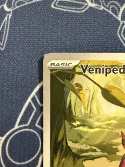 Venipede 132/086 Illustration Rare Sv: Black Bolt Holo Pokemon TCG BLK Holo - Image 2